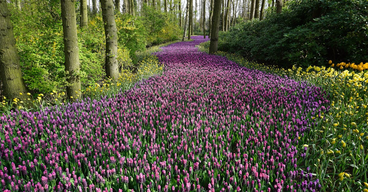 A vibrant pathway through blooming spring flowers in a serene woodland.