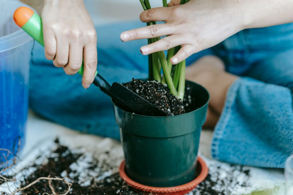 Close-up of hands gardening indoors, planting a potted plant with soil and a small spade.