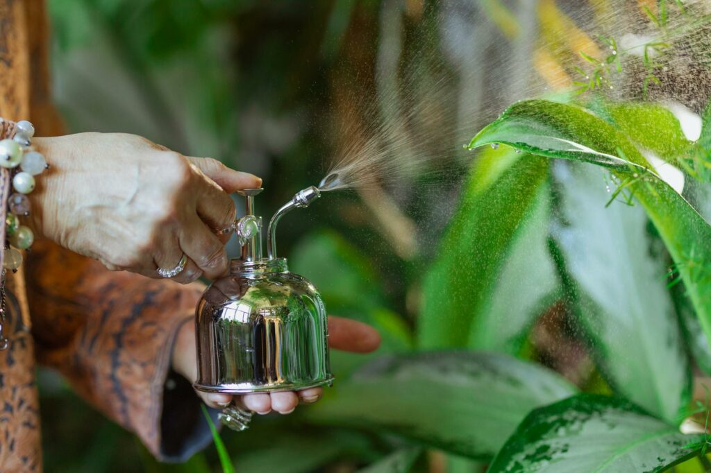 A hand holding a sprayer, gently watering green indoor plants with a mist in a close-up shot.